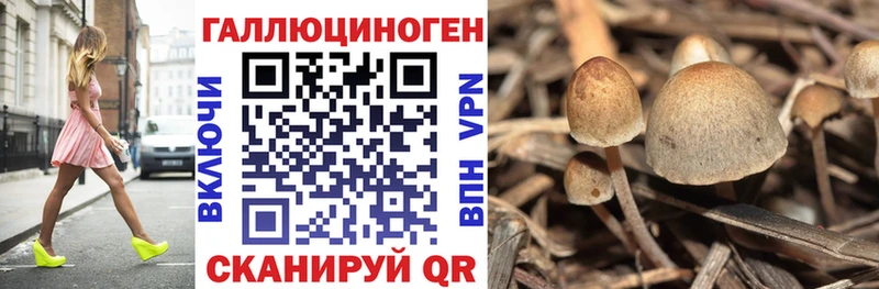 shop официальный сайт  купить   Махачкала  Галлюциногенные грибы мухоморы 